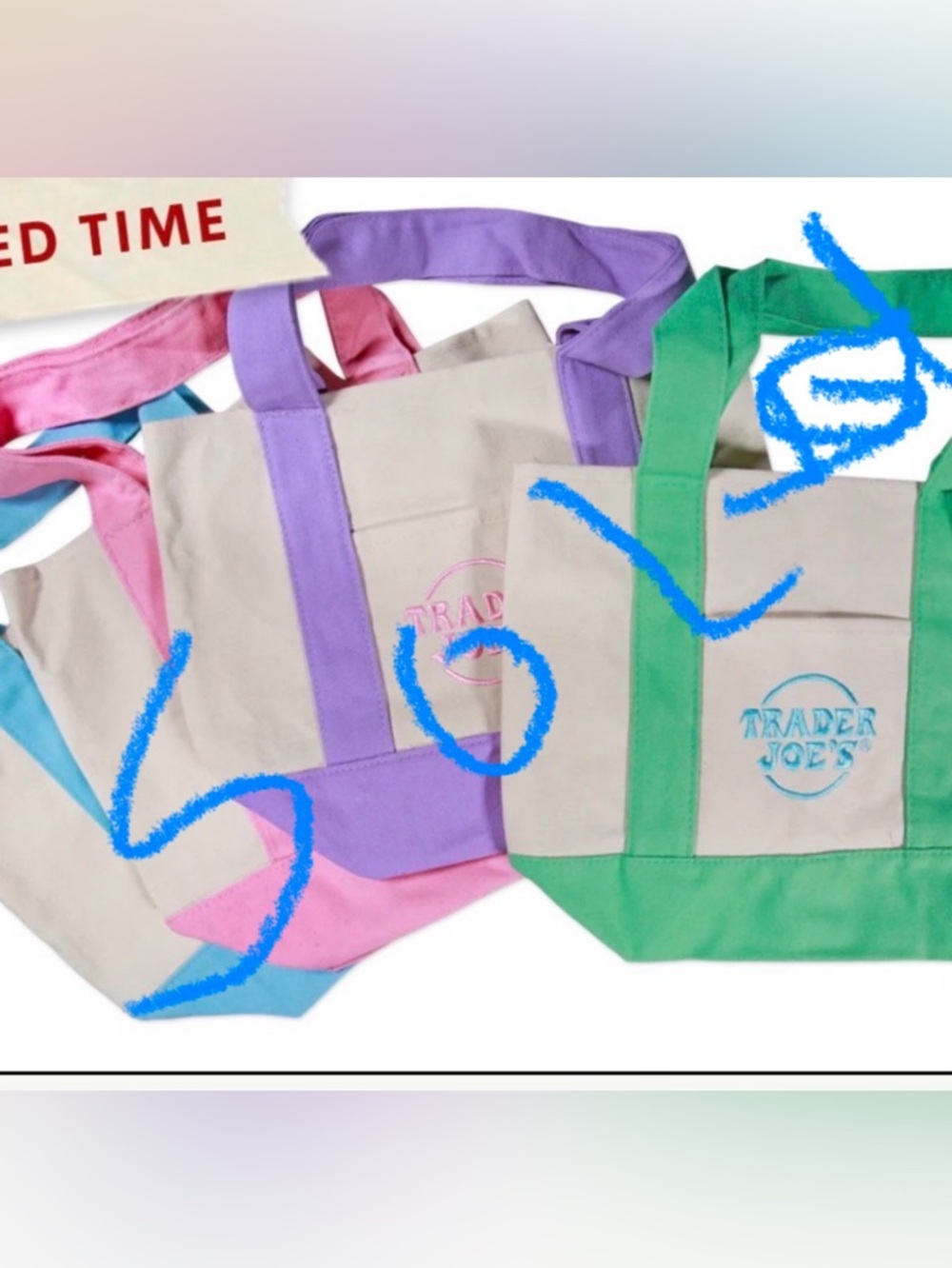 Trader Joe's Mini Canvas Tote in Cream with Green Trim